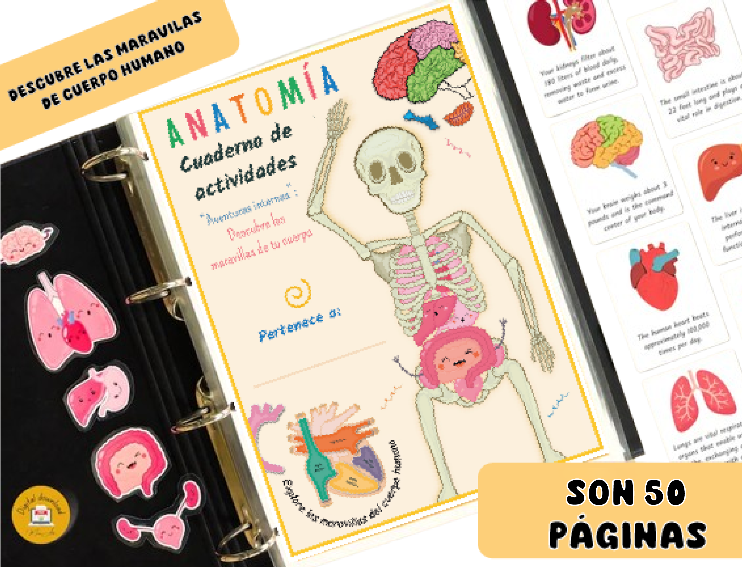 Anatomía - Libro de Actividades